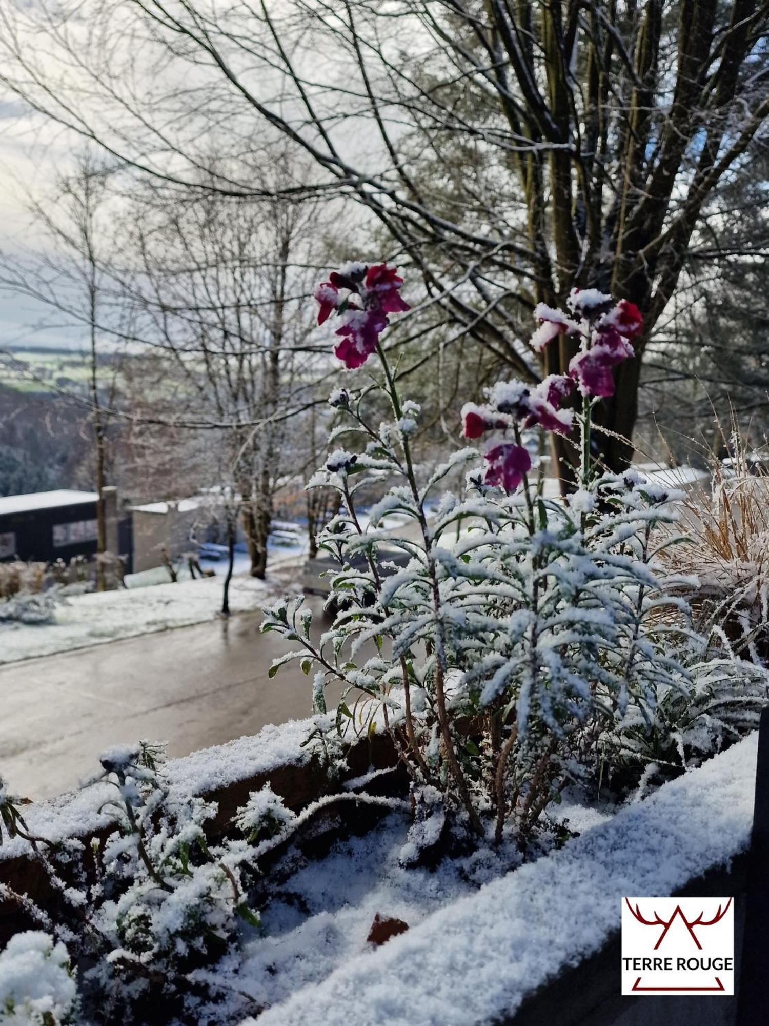 Terre Rouge & Terra Rubica - Les Terrasses De Malmedy Villa Buitenkant foto